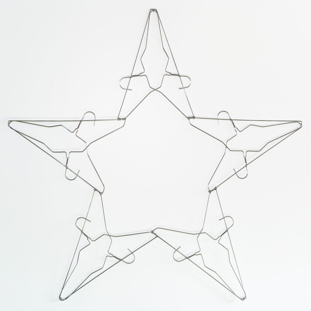 Lone Star by Diane Hathcoat
